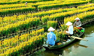 Làng hoa kiểng Sa Đéc - Đồng Tháp Làng hoa kiểng Sa Đéc - Đồng Tháp