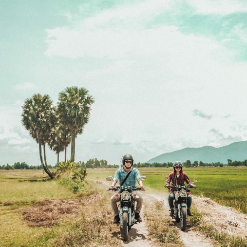 Cây Thốt Nốt hình trái tim cay thot not trai tim an giang