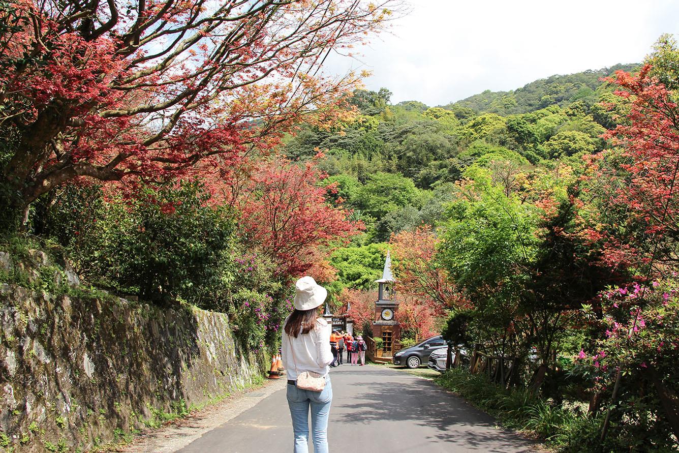 Địa điểm du lịch Đài Loan vào mùa thu - Công viên quốc gia Yangminshan Địa điểm du lịch Đài Loan vào mùa thu - Công viên quốc gia Yangminshan