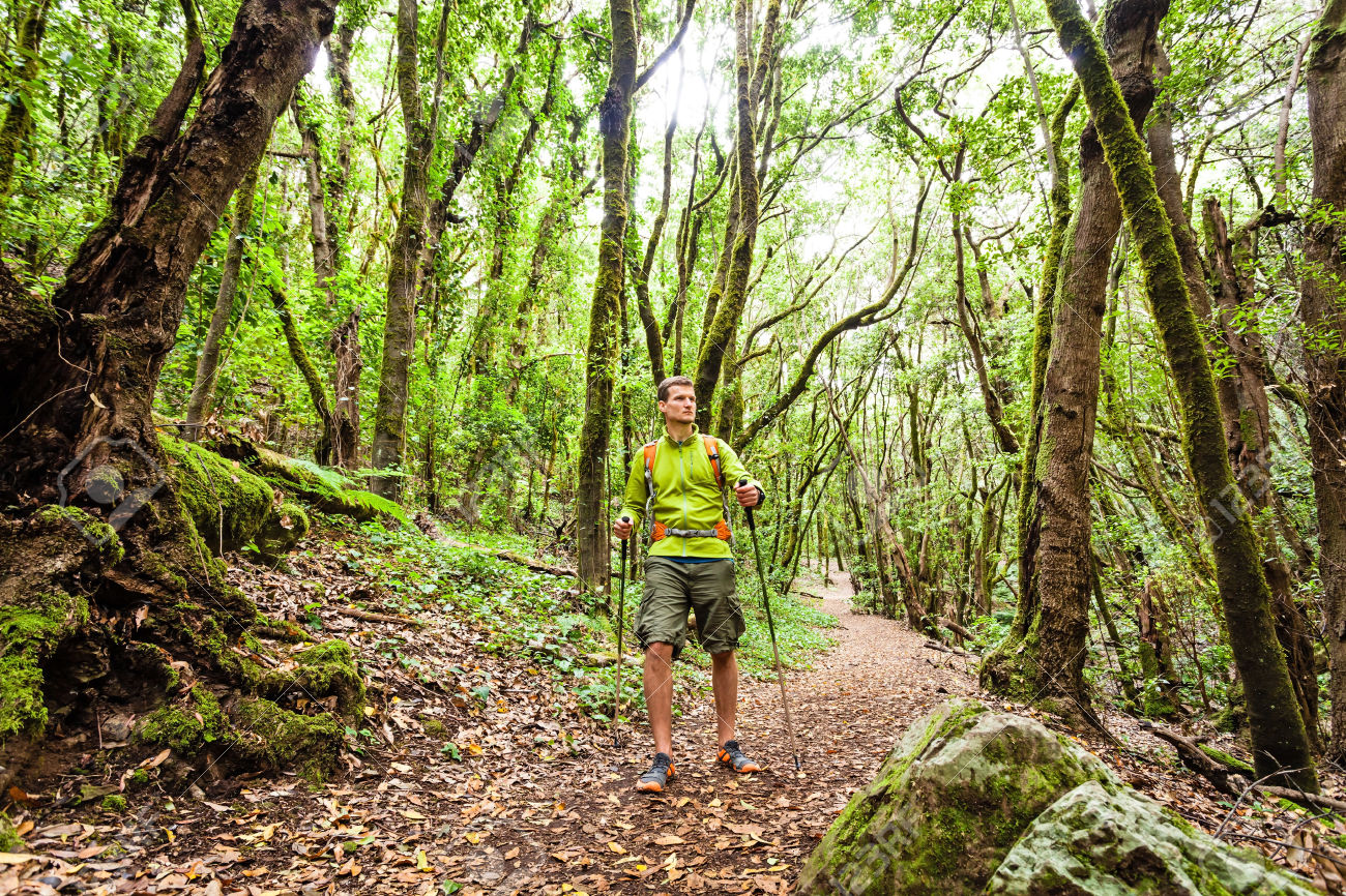 Du lịch Phong Nha Kẻ Bàng - Trải nghiệm đi bộ trong rừng Du lịch Phong Nha Kẻ Bàng - Trải nghiệm đi bộ trong rừng