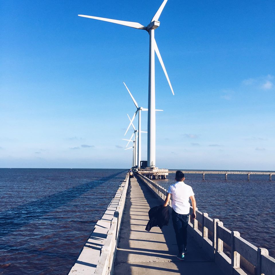 Cánh đồng quạt gió Bạc Liêu