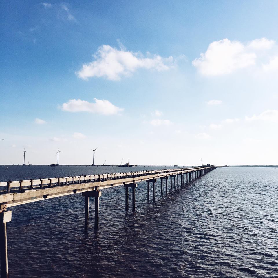 Cầu băng ngang cánh đồng quạt gió tại Bạc Liêu