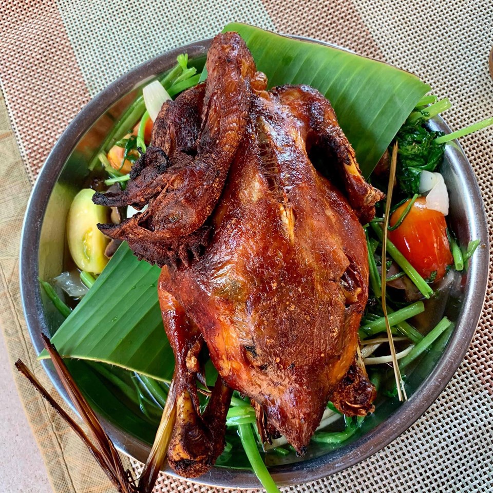 Gà đốt Campuchia Gà đốt Campuchia