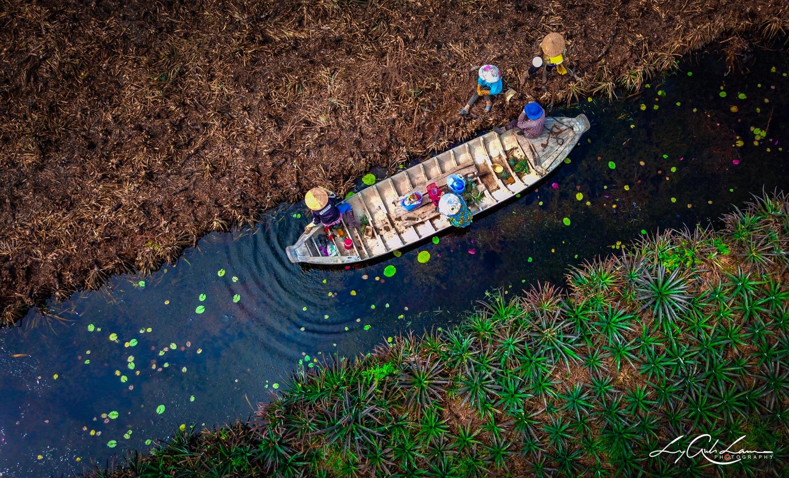Đến đây bạn sẽ được bơi xuồng len lỏi trong vườn khóm. Đến đây bạn sẽ được bơi xuồng len lỏi trong vườn khóm.