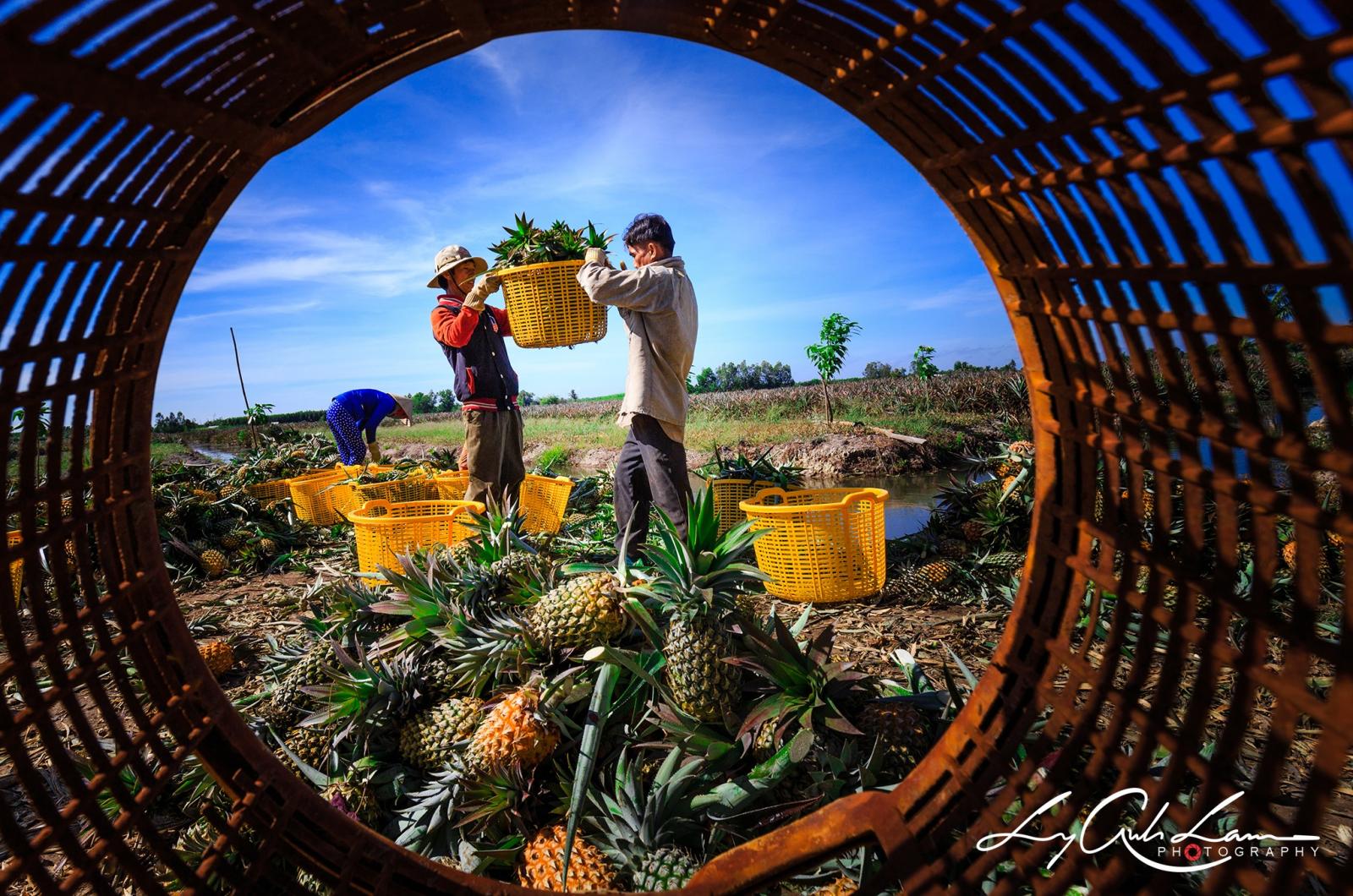 Không khí nhộn nhịp vui tươi. Không khí nhộn nhịp vui tươi.