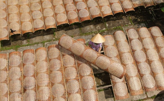 Làng nghề bánh tráng Thuận Hưng Làng nghề bánh tráng Thuận Hưng