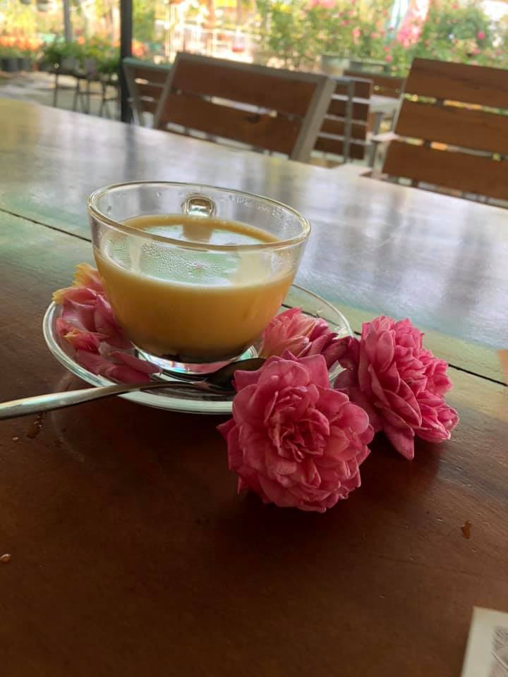 Vườn thạch thảo trong khuôn viên quán cà phê Hoa Hồng Vườn thạch thảo trong khuôn viên quán cà phê Hoa Hồng