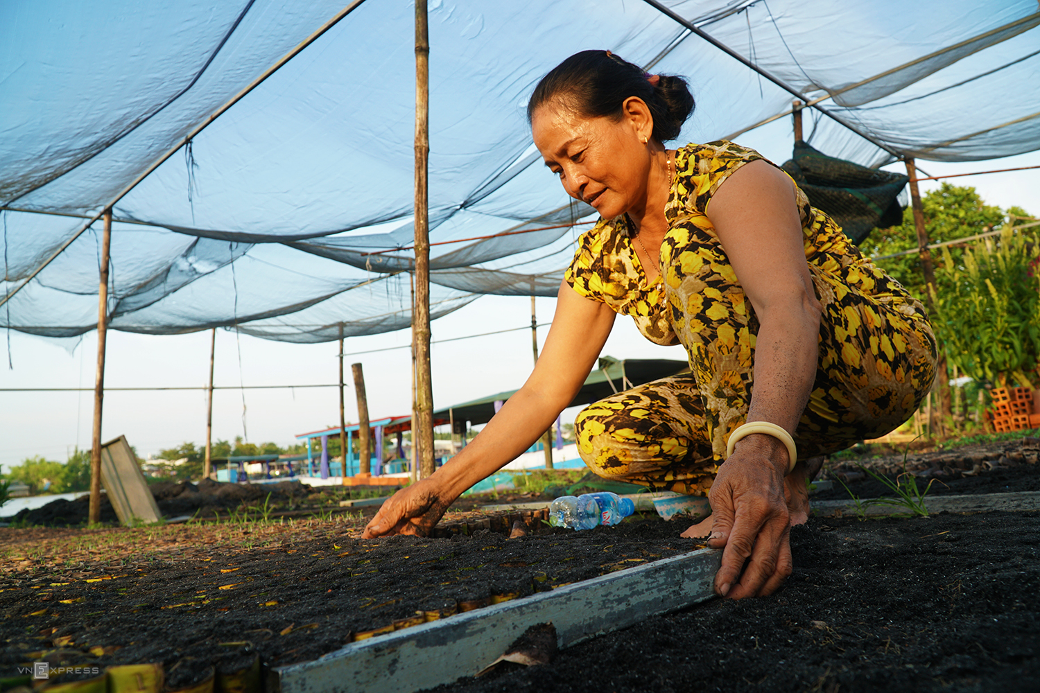 Vườn ươm trên sông ở Cần Thơ