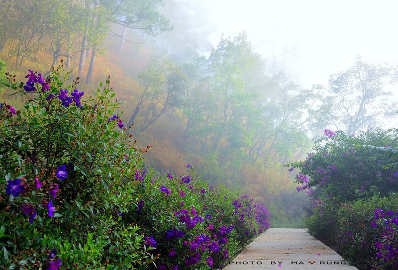 Ma rừng lữ quán Ma rừng lữ quán