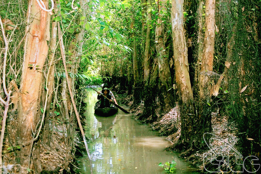 Khu di tích Xẻo Quít - Đồng Tháp Khu di tích Xẻo Quít - Đồng Tháp