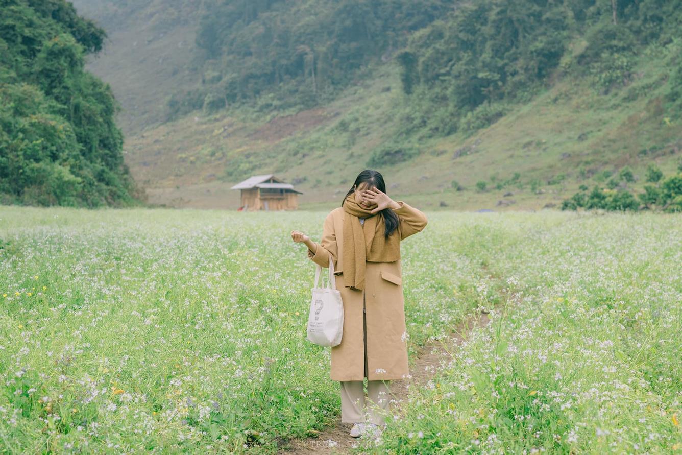 Mộc Châu mùa thu - Mùa của những gam màu cỏ