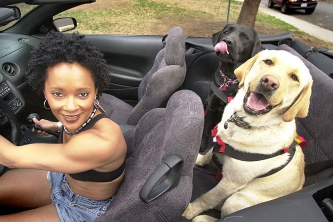 thoi-quen-lai-xe-co-the-gay-chet-nguoi-4 thoi-quen-lai-xe-co-the-gay-chet-nguoi-4