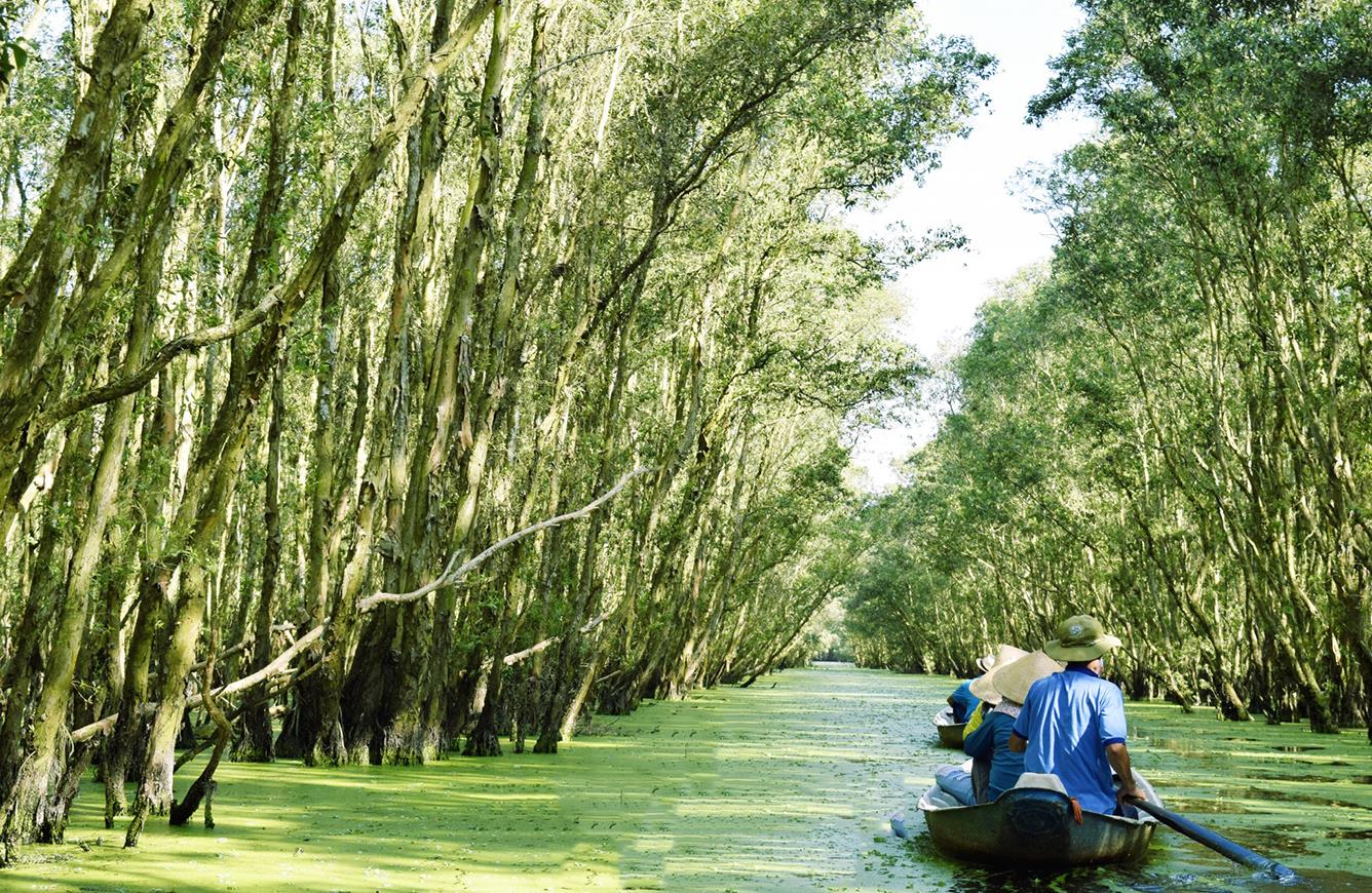 Gợi ý phương tiện du lịch miền Tây mùa nước nổi để có những trải nghiệm khó quên 