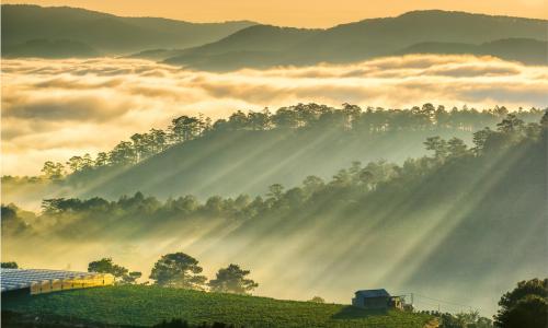 Du lịch hè Đà Lạt đón mùa nắng vàng như rót mật