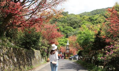 Gọi tên những điểm đến mùa thu ở Đài Loan đẹp tựa cổ tích