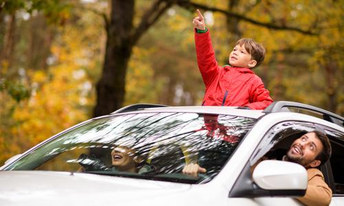 Những phụ kiện trên ôtô ít được sử dụng ở Việt Nam