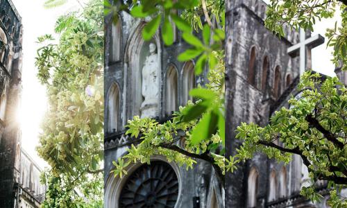 Trải nghiệm mùa thu Hà Nội tình như thơ ai cũng ao ước được thử một lần