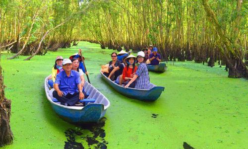 Về rừng tràm Trà Sư, đắm chìm trong không gian “xanh mướt mắt”