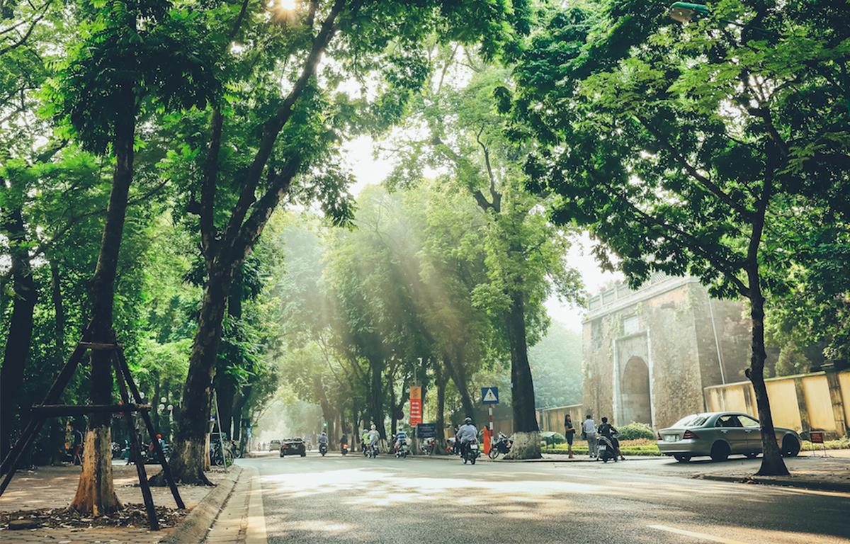 DẠO PHỐ, ĐÓN ÁNH NẮNG BAN MAI ĐẦU NGÀY