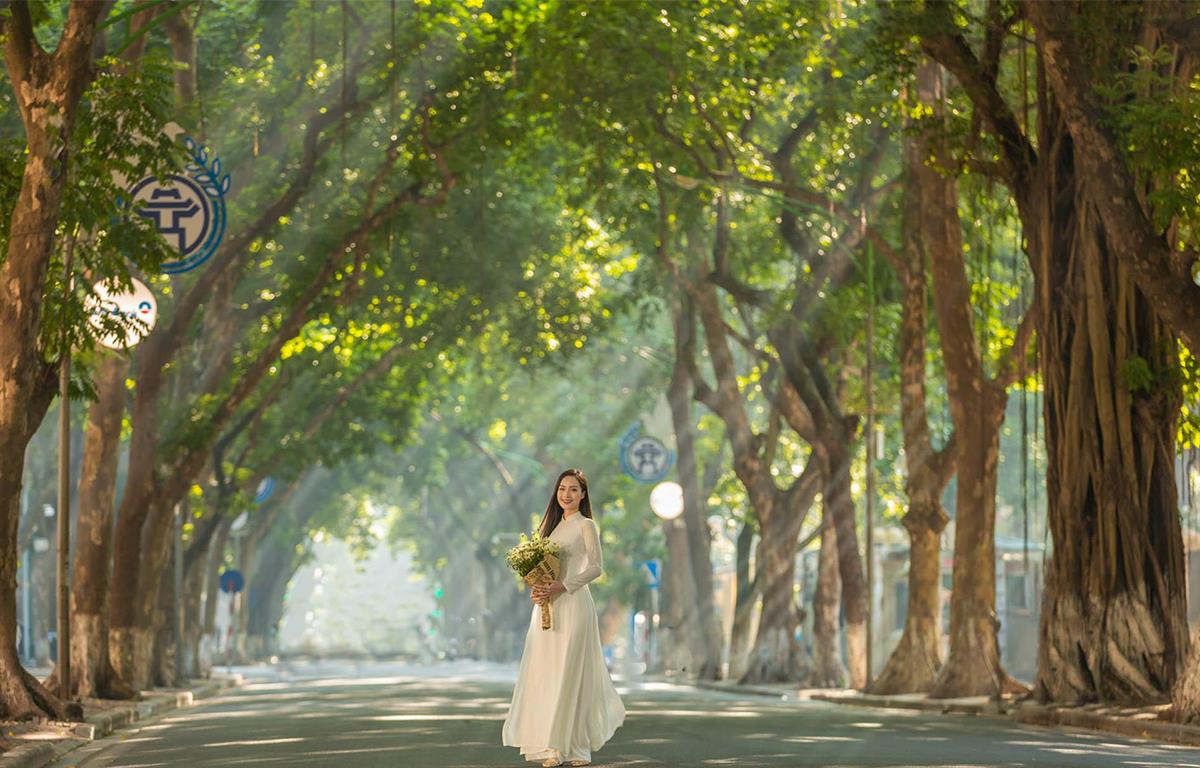 DẠO BƯỚC TRÊN CÁC CON ĐƯỜNG LÁ VÀNG